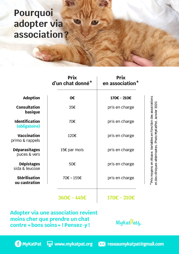 reseau_mykatpat_adopter_association_chat