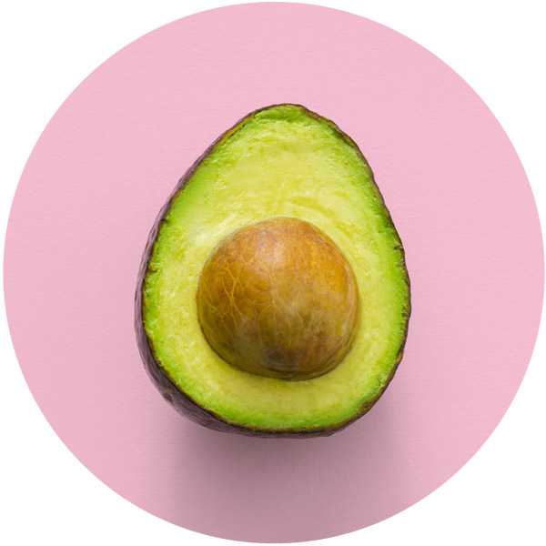 Avocat dangereux et toxique pour les chats