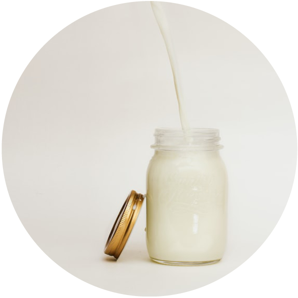 Lait dangereux pour les chats