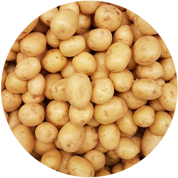 Pomme de terre crue dangereux et toxique pour les chats