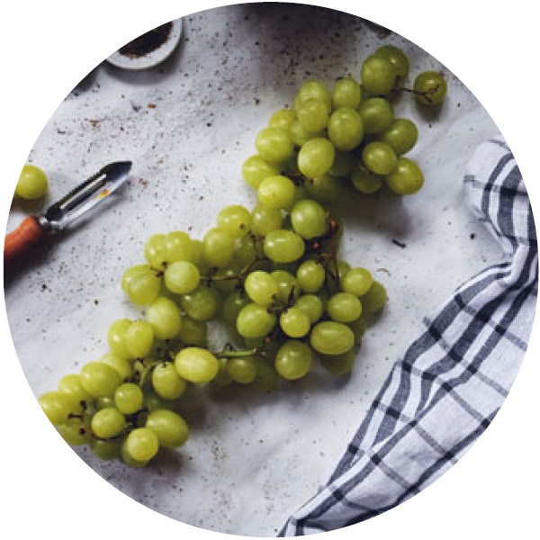 Raisin dangereux et toxique pour les chats