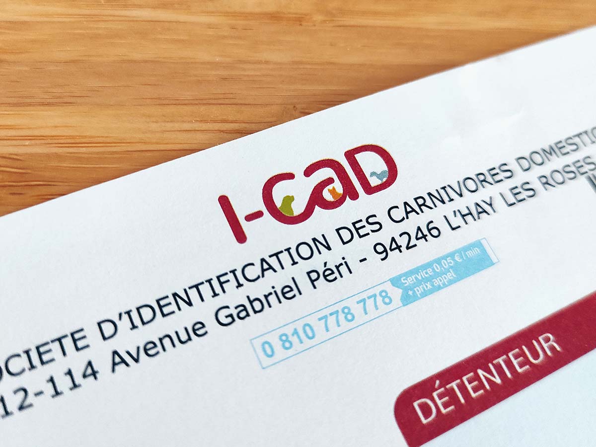 En-tête de document ICAD