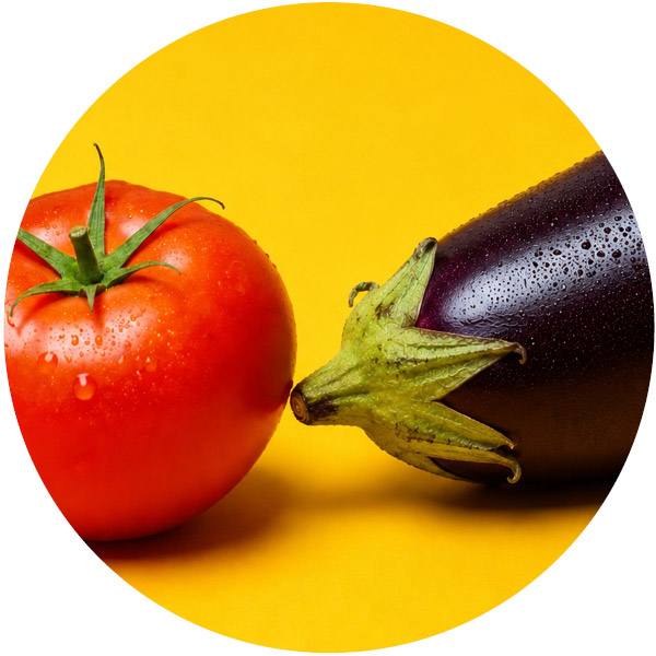 Tomate et aubergine dangereux et toxiques pour les chats