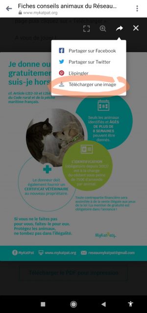 reseau_mykatpat_telechargement_fiche_conseils_animaux